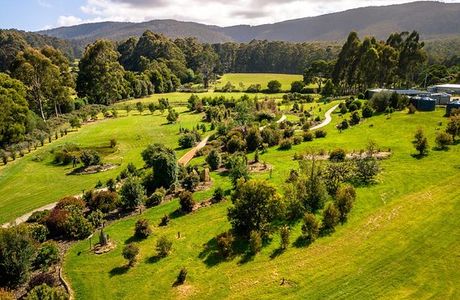Inala Jurassic Garden