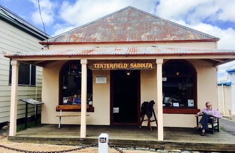 Tenterfield Saddler