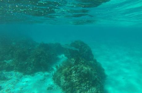 Horseshoe Reef