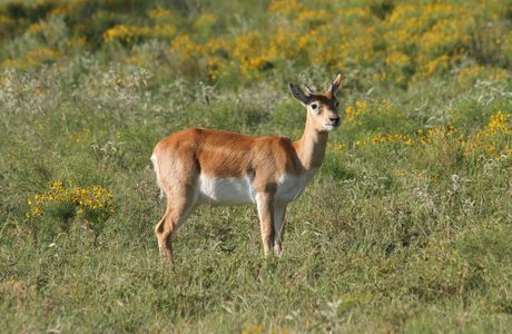 Absheron National Park