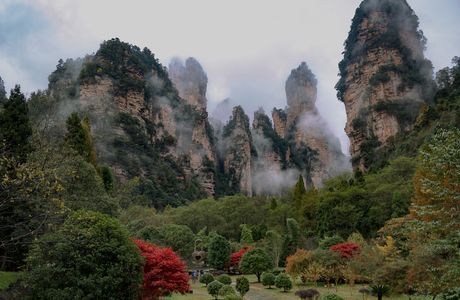Fenghuanggu Forest Park