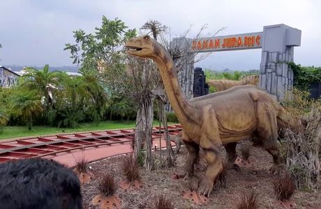 Muhuashi Dinosaur Land