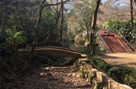 Tiexi Forest Park