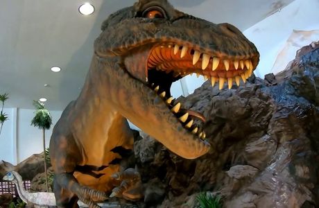 Yichun Dinosaur Museum