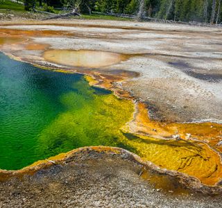 Yellow Stone Reservoir