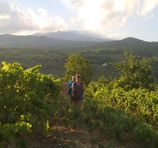 Tenuta Monte Gorna