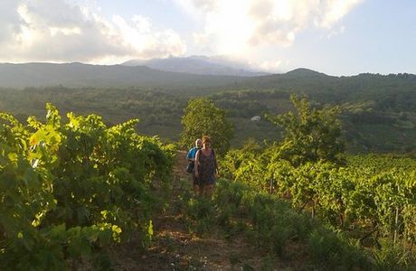 Tenuta Monte Gorna