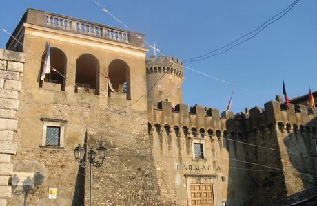 Tintilia