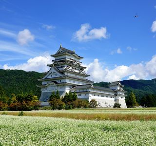 Katsuyama Castle Museum