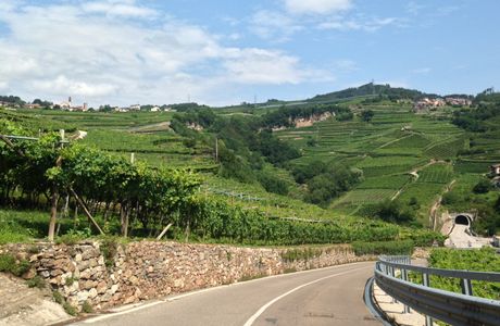 Strada del Verdiso (1025)