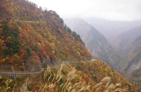 Hakusan Shirakawa-go White Road