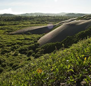 Sigatoka Sand Dunes National Park