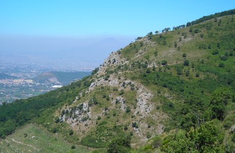 Parco Naturale Oasi WWF Diecimare