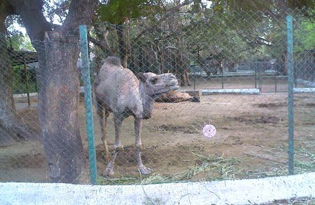 VOC Park And Zoo