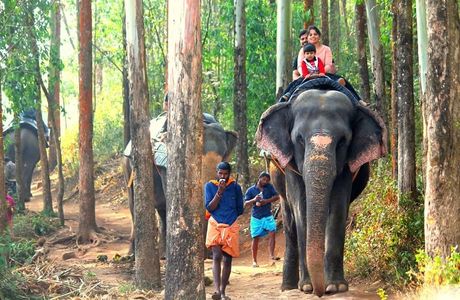 Anakkulam - Elephant View Point