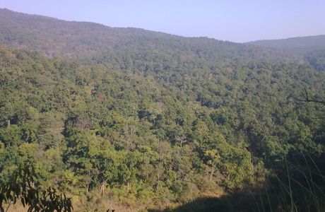 Simlipal Tiger Reserve