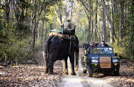 Kanha National Park