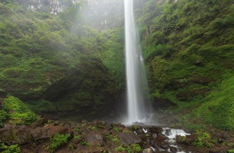 Coban Rondo Waterfall