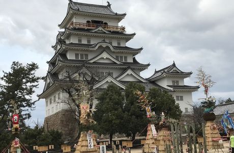 Sakurayama Castle