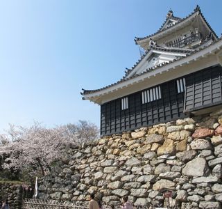 Hamamatsu Castle