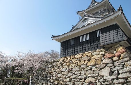 Hamamatsu Castle