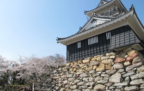 Hamamatsu Castle 1