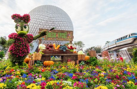Himenosawa Park Flower Festival