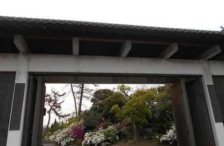 Asia Museum