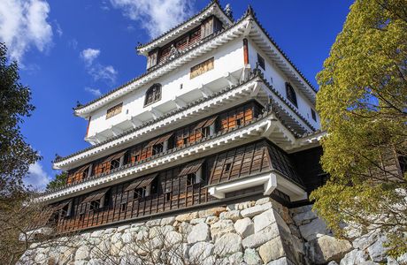 Iwakuni Castle