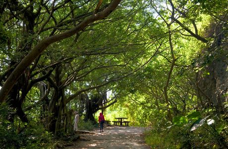 Hayataki Nature Park