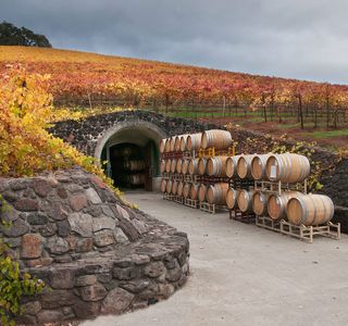 MGVs Winery