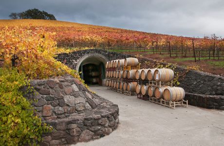 MGVs Winery