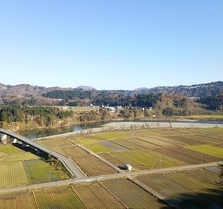 Yamakoshi Alpaca Farm