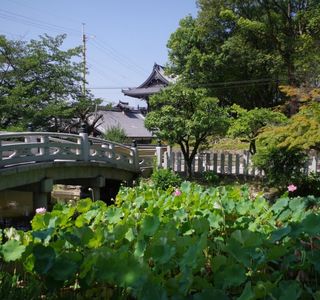 Hirotada-ji Temple