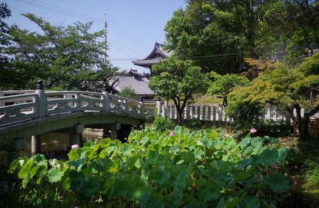 Hirotada-ji Temple