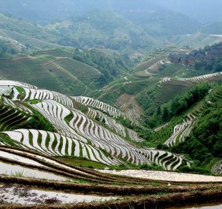 Youne Terraces