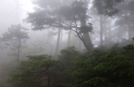 Mt. Nyoho