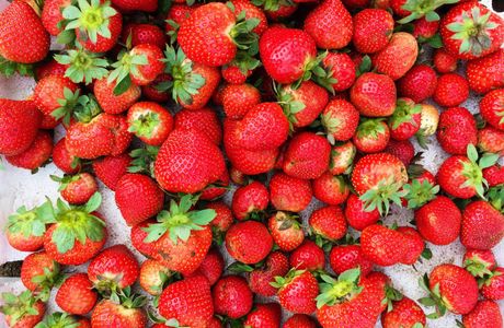 Takano Strawberry Farm