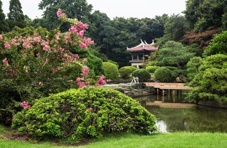 Shinjuku Gyoen National Garden