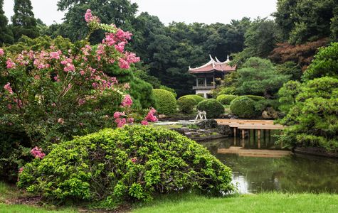 Shinjuku Gyoen National Garden 1