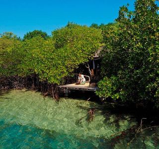 Mangrove Spa