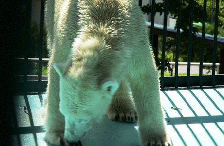 Obihiro Zoo