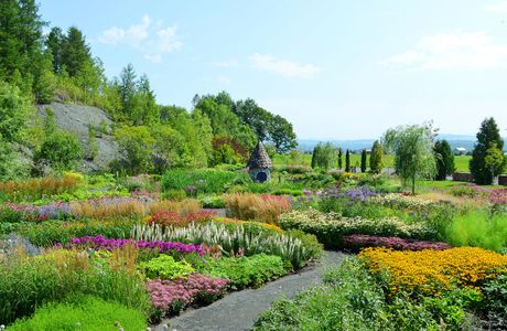 Ueno Farm
