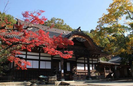 Jindai-ji Temple