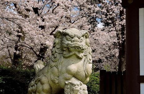Sugiyama Kengyo's Tomb