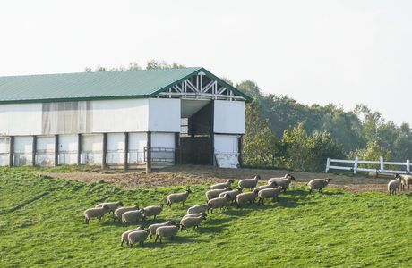 Suffolk Land Shibetsu