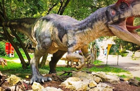 Dinos Park Tomakomai