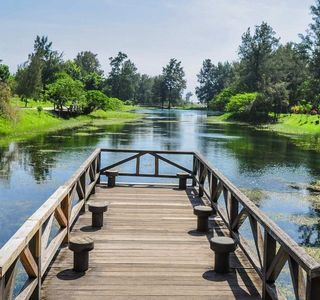 Black Forest Park Pipa Lake