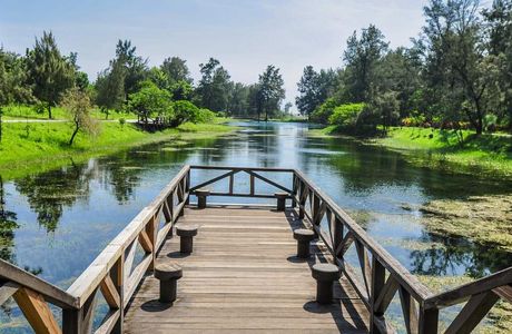 Black Forest Park Pipa Lake