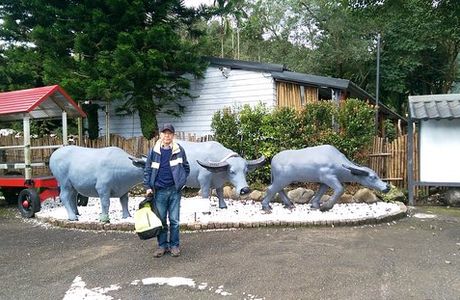 Shuangxi Farm